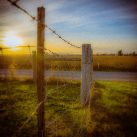 Fences Album Art